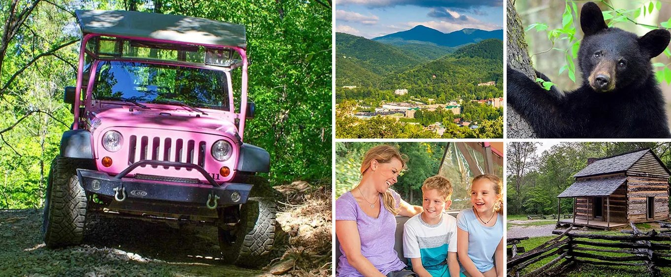 Pink Jeep Tours of Pigeon Forge