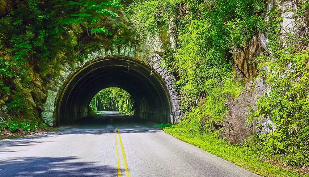 A road passes through a stone tunnel surrounded by lush green foliage