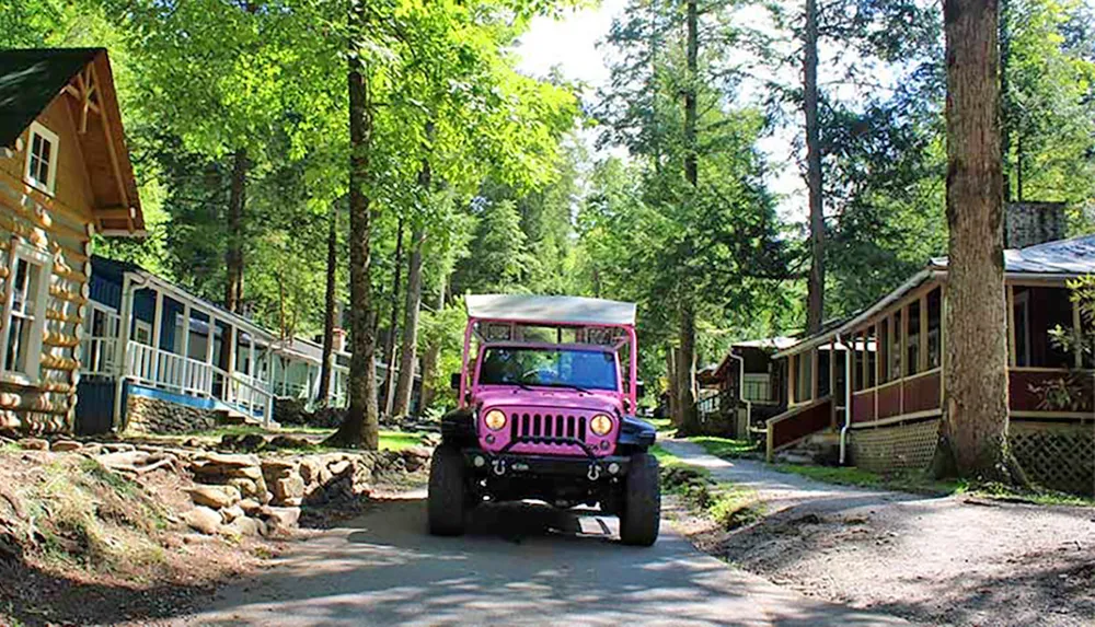 A pink off-road vehicle drives down a scenic path flanked by charming cabins and tall trees
