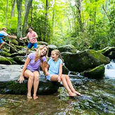 Pink Jeep Tours of Pigeon Forge