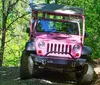 A pink Jeep is off-roading on a rocky trail surrounded by lush green trees