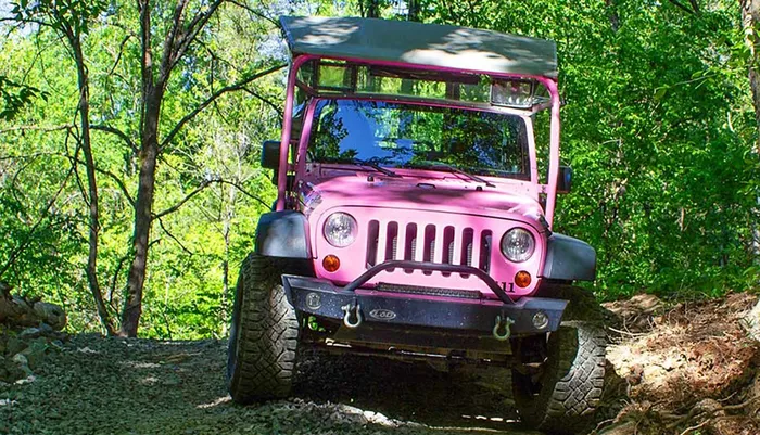 Pink Jeep Tours of Pigeon Forge Photo