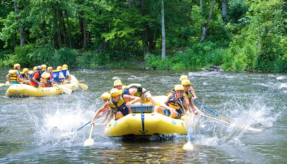 Two groups of people are wearing helmets and life jackets while paddling inflatable rafts down a fast-moving tree-lined river
