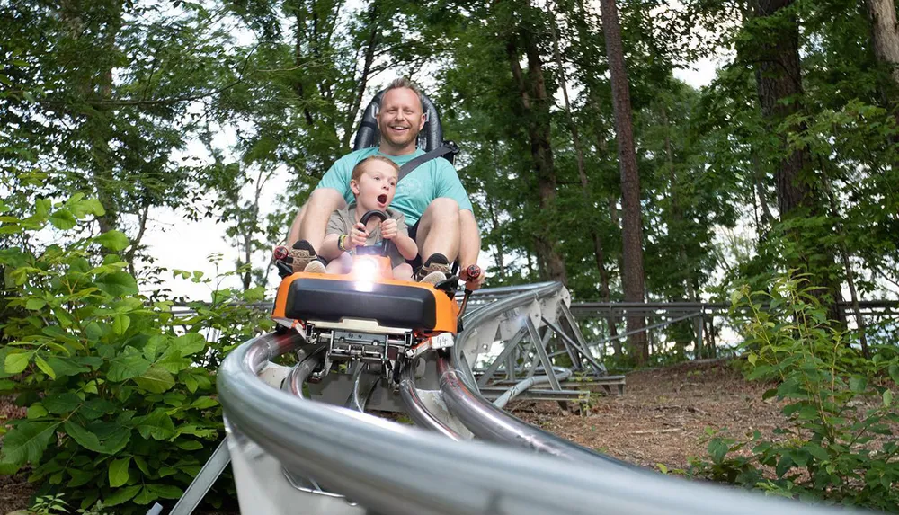 Smoky Mountain Alpine Coaster - Pigeon Forge, TN