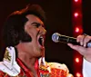 Elvis  The Superstars Pigeon Forge