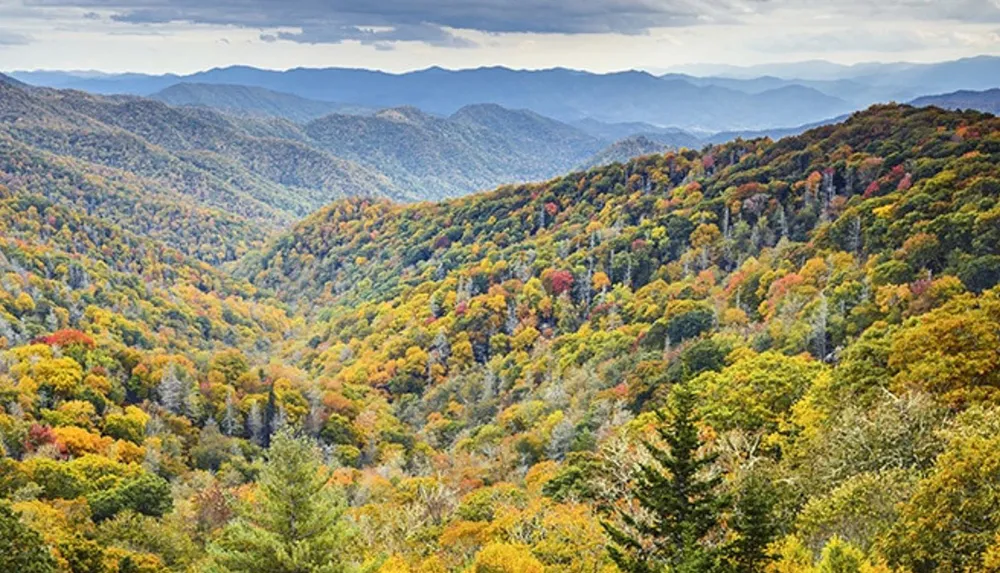 The image showcases a sweeping view of a forested mountain landscape painted with the vibrant colors of autumn foliage under a cloud-strewn sky