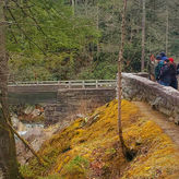 Smoky Mountains Newfound Gap Jeep Tour