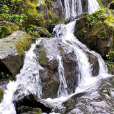 Smoky Mountains Roaring Fork Jeep Tour