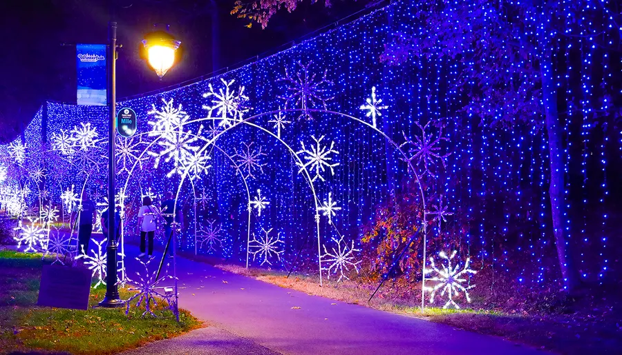 A pathway adorned with glowing blue lights and large, illuminated snowflakes creates a festive, winter-themed display.