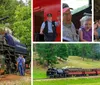 An old-fashioned steam locomotive is pulling red passenger cars along a curving track through a pine forest