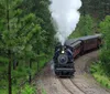 An old-fashioned steam locomotive is pulling red passenger cars along a curving track through a pine forest