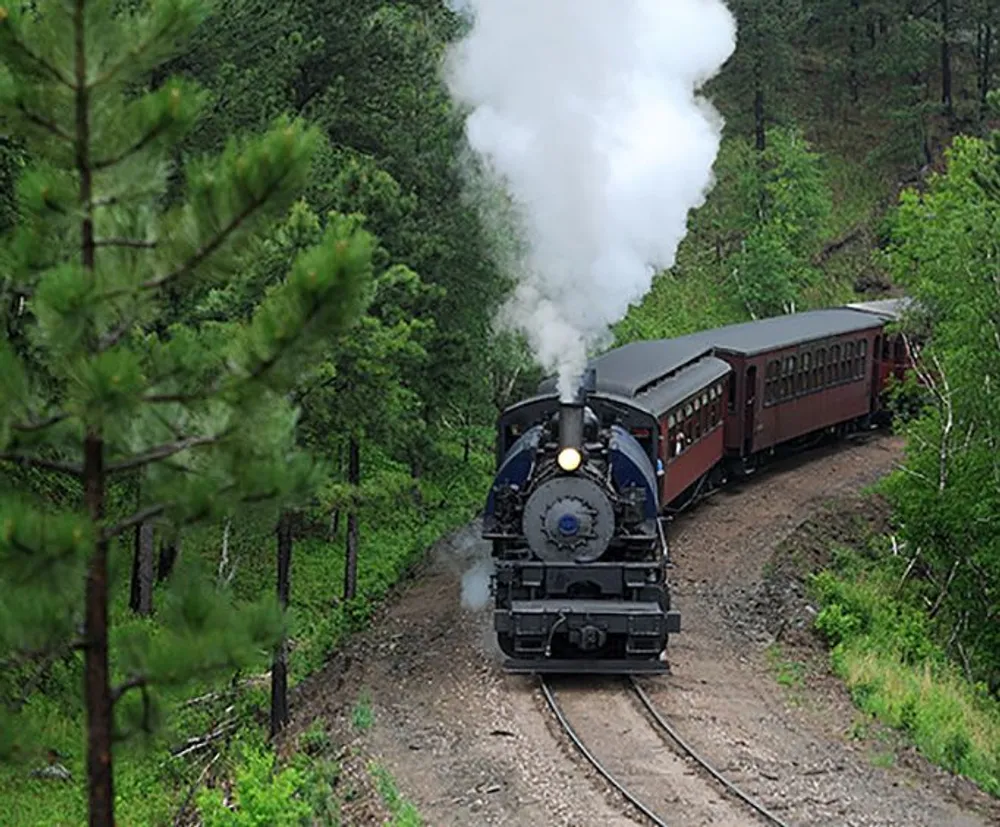 An old-fashioned steam locomotive is pulling red passenger cars along a curving track through a pine forest