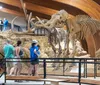 Visitors at a museum observe the skeletal remains of a large mammal with prominent tusks likely a prehistoric creature such as a mammoth displayed in an exhibit hall