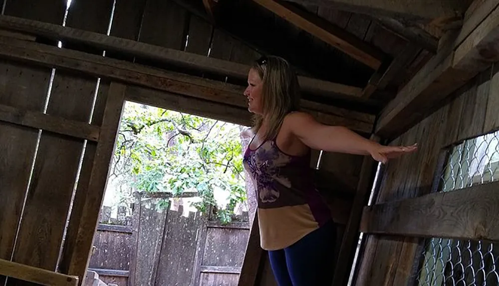 A person is standing with outstretched arms inside a rustic wooden structure resembling a barn or shed with daylight visible through an open section