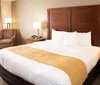 Photo of Comfort Inn  Suites - Custer SD Room