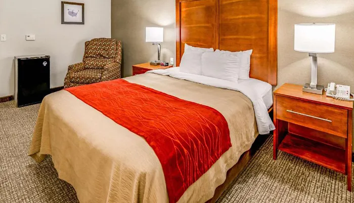 This image shows a neatly arranged hotel room with a queen-sized bed tan and red bedding a nightstand with a lamp and phone a patterned armchair a framed picture on the wall and a mini-fridge