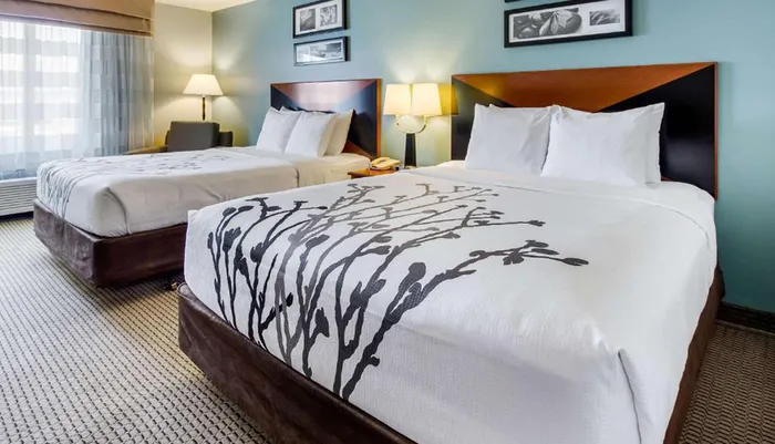 The image shows a neatly arranged hotel room with two queen-sized beds featuring white linens and a decorative black floral pattern alongside simple furnishings and artwork on the walls