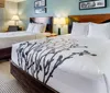 Photo of Sleep Inn  Suites Rapid City Room