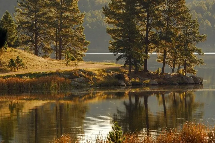 The image shows a serene lake with trees reflecting on the water surface at what appears to be either dawn or dusk.
