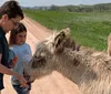 Two people are interacting with a donkey on a dirt road with one of them offering it a carrot
