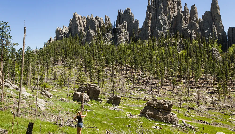 A person extends an arm upwards in a forested area at the foot of striking jagged rock formations under a clear blue sky