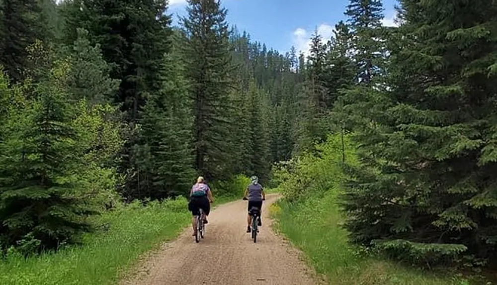 Two cyclists are riding on a forest trail surrounded by tall green trees under a partly cloudy sky