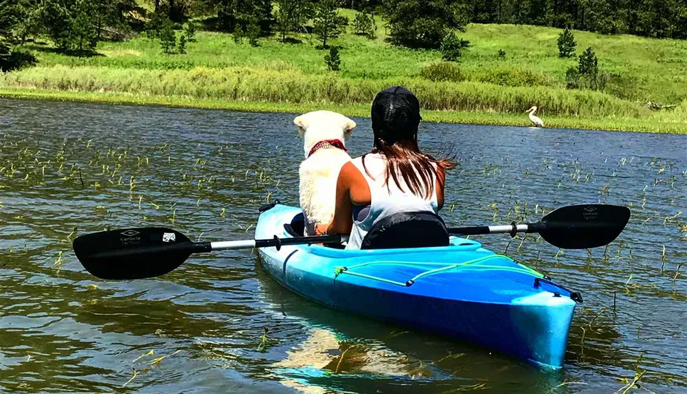 A person and a white dog are sharing a kayak on a tranquil water body enjoying a sunny day in nature