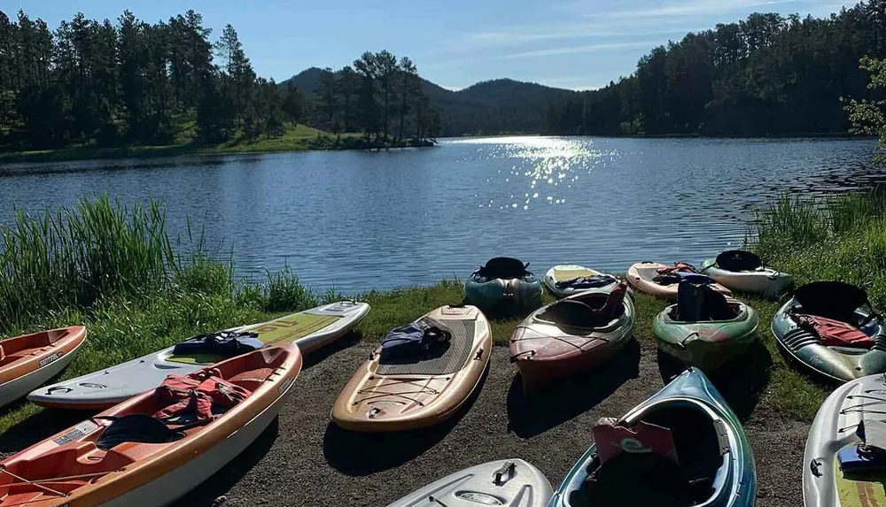 A lineup of colorful kayaks and paddleboards rests on the shore of a tranquil lake surrounded by trees under a clear sky
