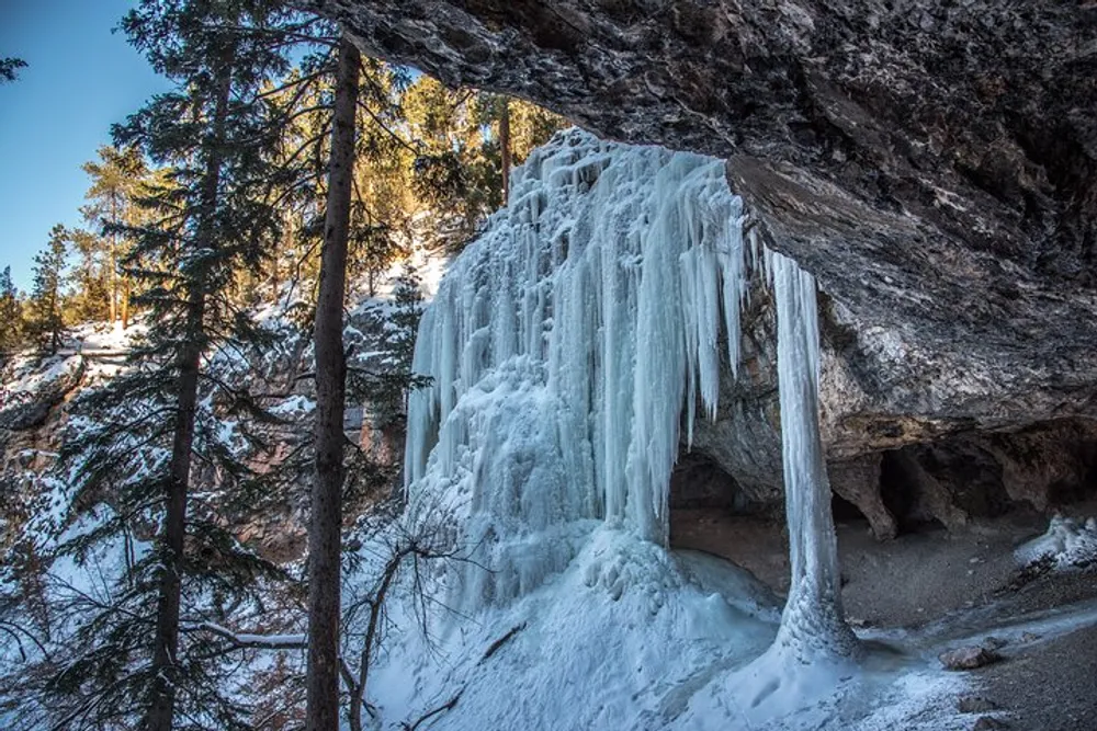 This image captures a frozen waterfall with towering icicles hanging from a rocky overhang surrounded by snow-dusted coniferous trees under a clear blue sky