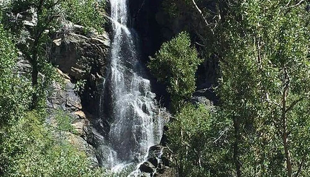 A cascading waterfall nestled among lush green trees under a bright sky