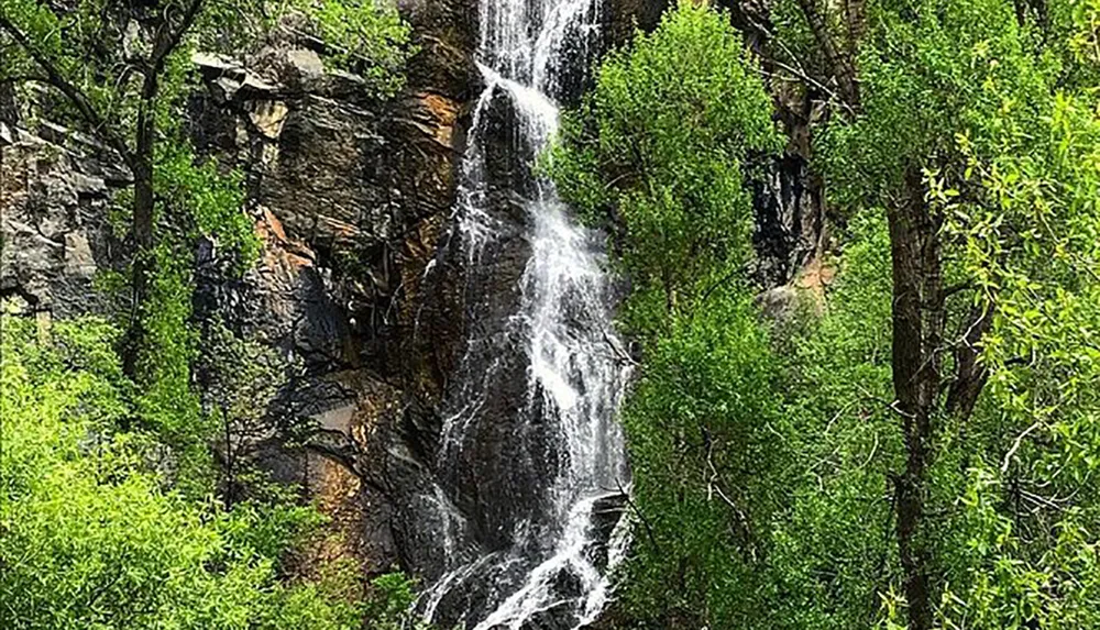 A cascade of water flows down a rocky cliff surrounded by lush green foliage