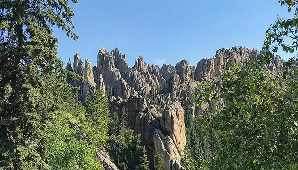 The image shows a picturesque view of tall rugged rock formations rising behind lush green trees under a clear blue sky