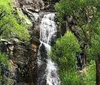 A smiling couple poses in front of a waterfall surrounded by green foliage