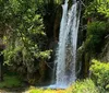 A smiling couple poses in front of a waterfall surrounded by green foliage