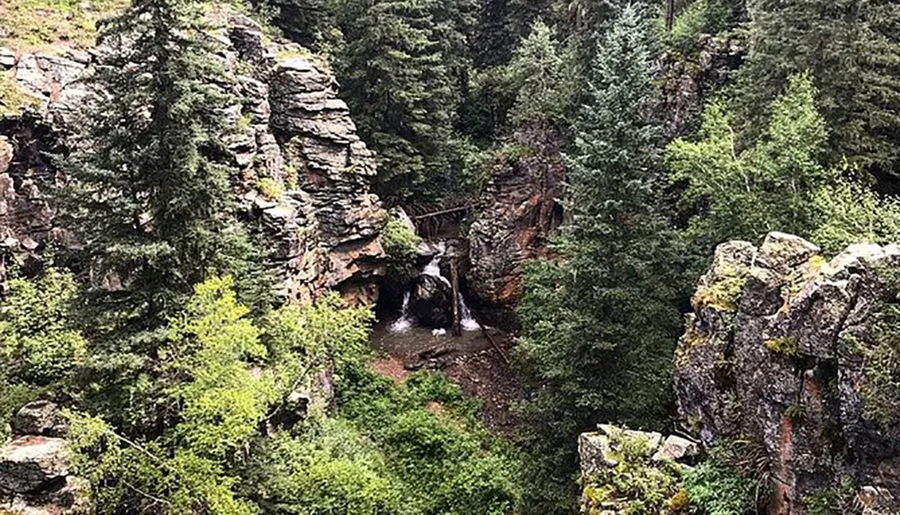 The image shows a small waterfall nestled between lush forested cliffs with what appears to be a wooden footbridge above it