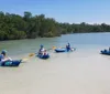 Several people are enjoying kayaking in calm shallow waters near a mangrove forest under a clear blue sky