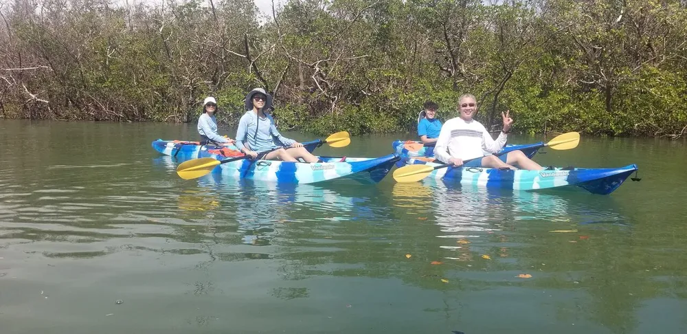 A group of people is enjoying a sunny day of kayaking in calm waters surrounded by lush greenery