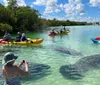 People are kayaking and observing marine life in clear shallow waters on a sunny day