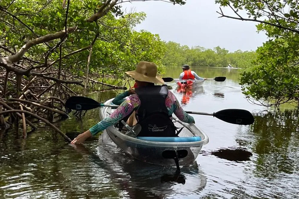 A person in a wide-brimmed hat is kayaking through a calm mangrove tunnel followed by another individual in a red kayak