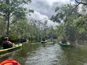 A group of people are kayaking through a serene waterway surrounded by lush greenery under a partly cloudy sky.