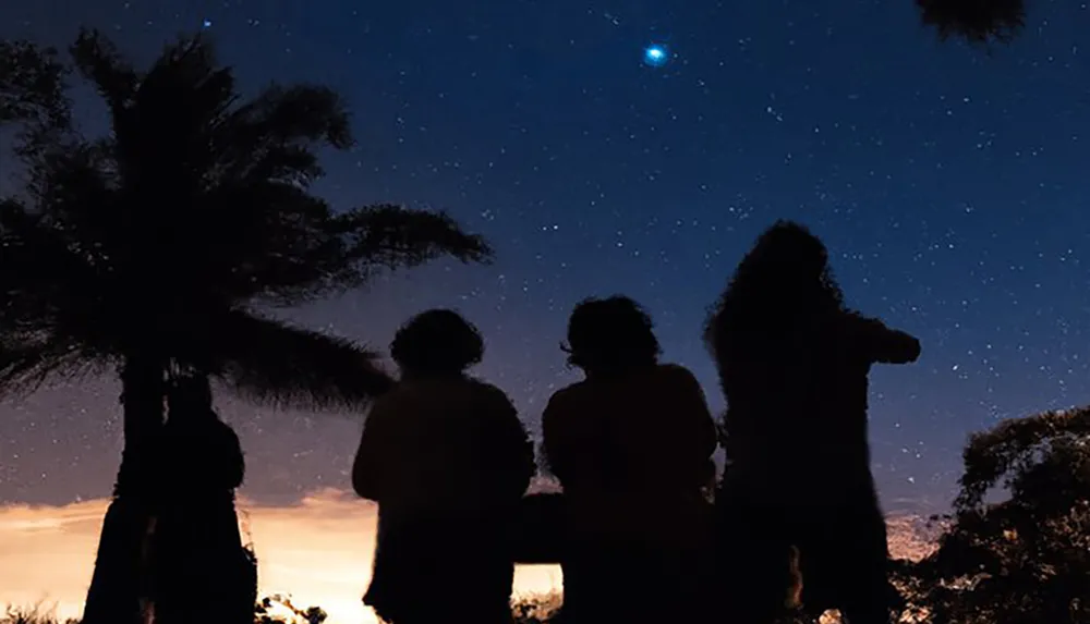Three silhouetted individuals stand beneath a starry sky with the silhouette of a palm tree to the left and a vibrant star or planet visible above