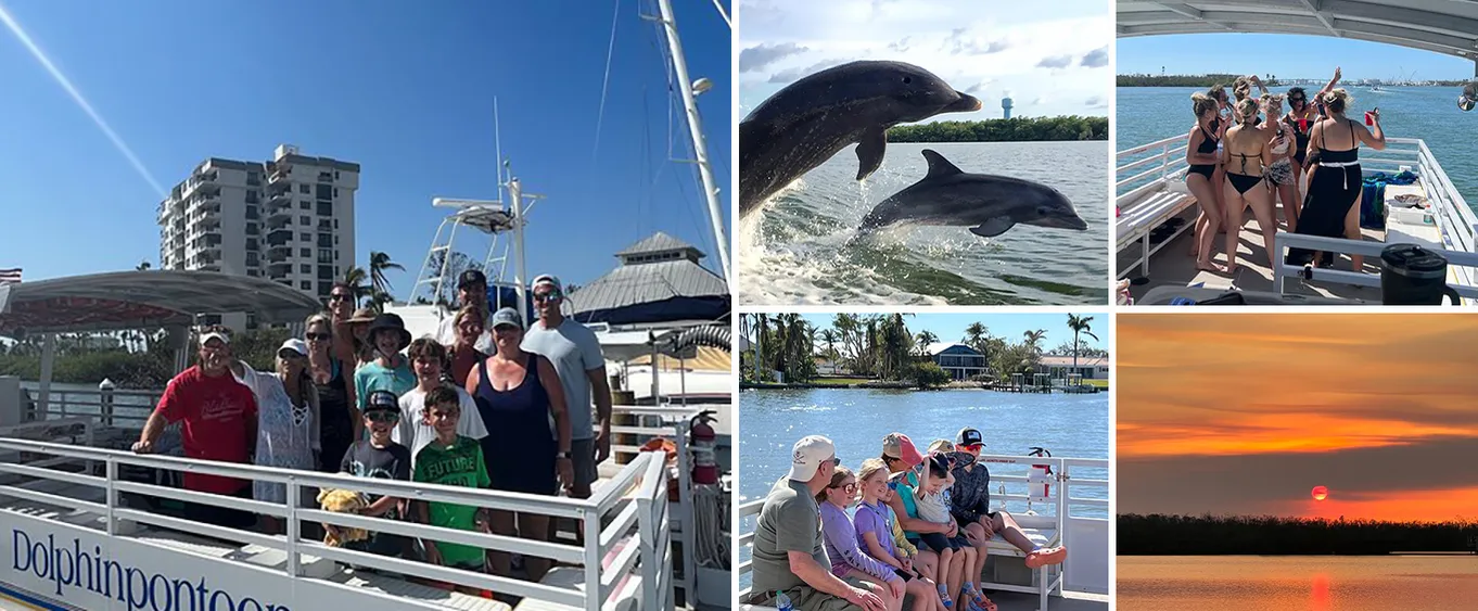 2 Hour Dolphin Tour for 7 People