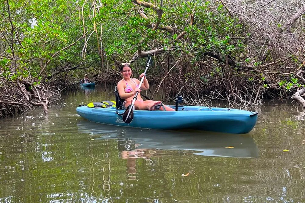 A person is kayaking through a mangrove forest