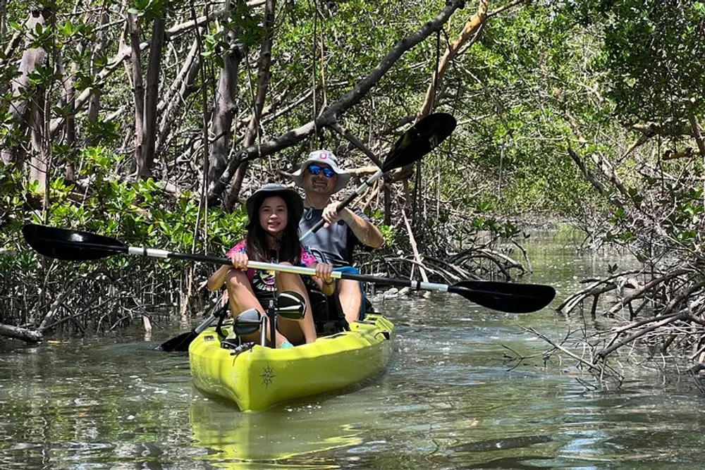 Two people are kayaking through a mangrove forest in a yellow tandem kayak