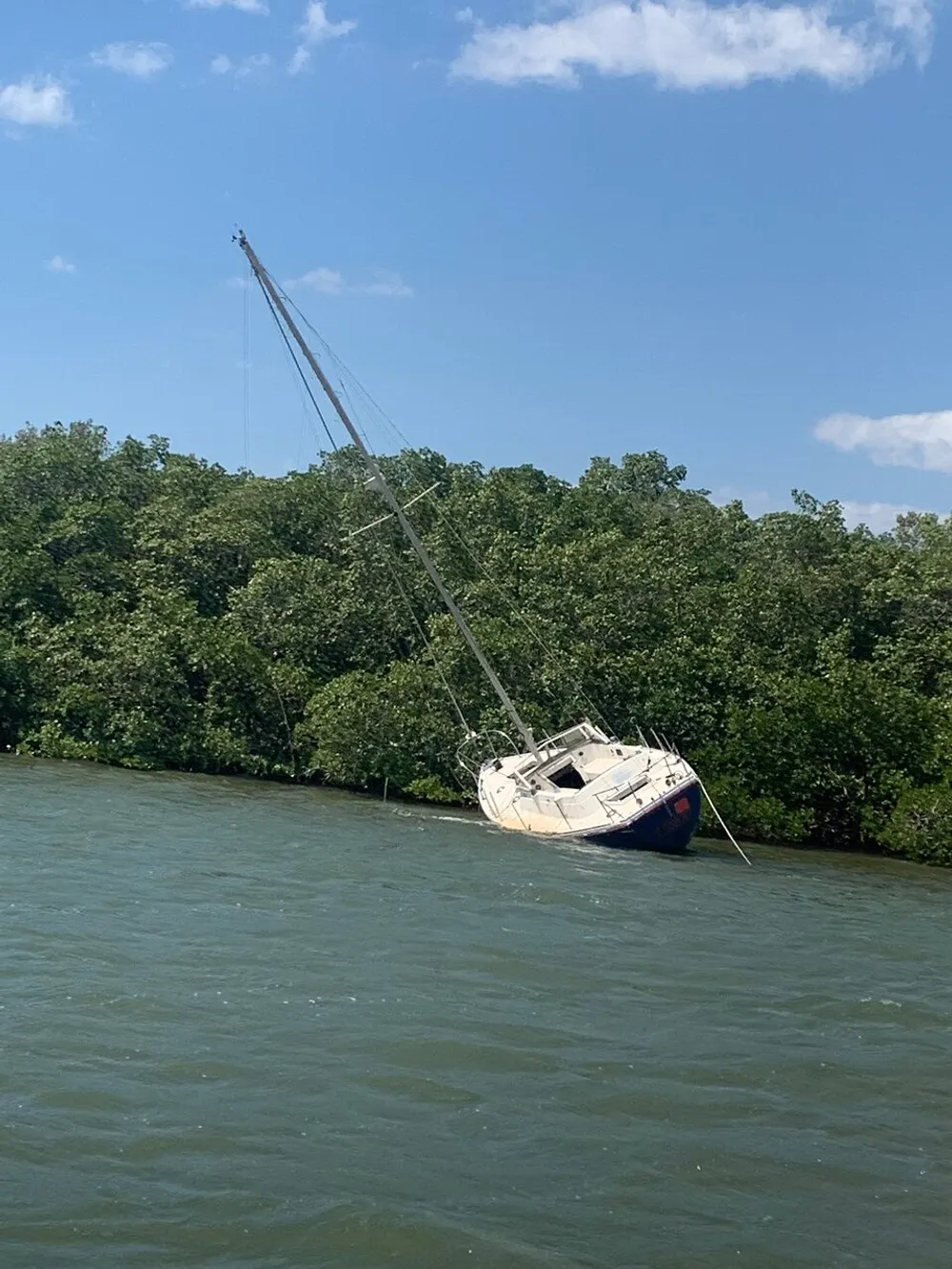 A sailboat is capsized and stranded among the mangroves near the waters edge