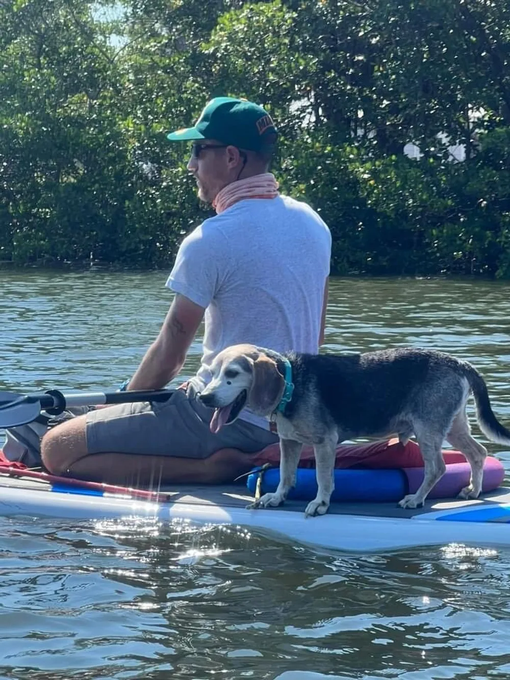 A man and his dog are enjoying a peaceful paddleboarding session on a calm water body surrounded by greenery