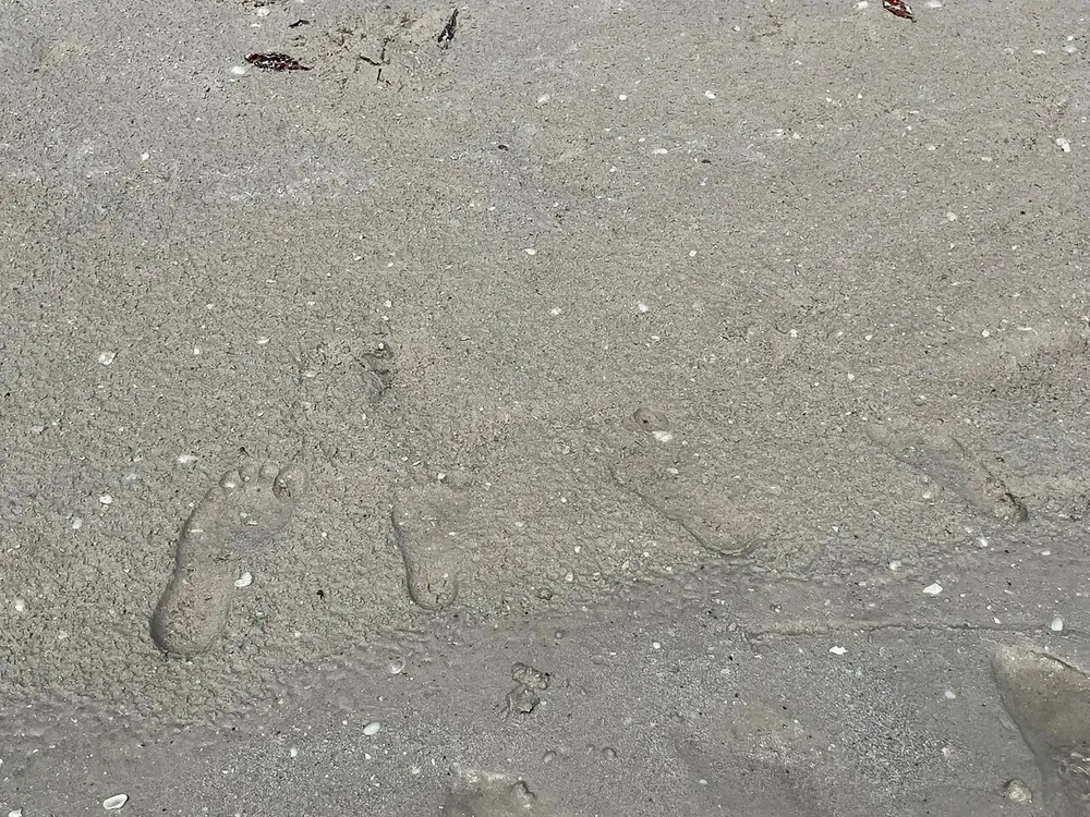 A series of human footprints indented in sandy terrain