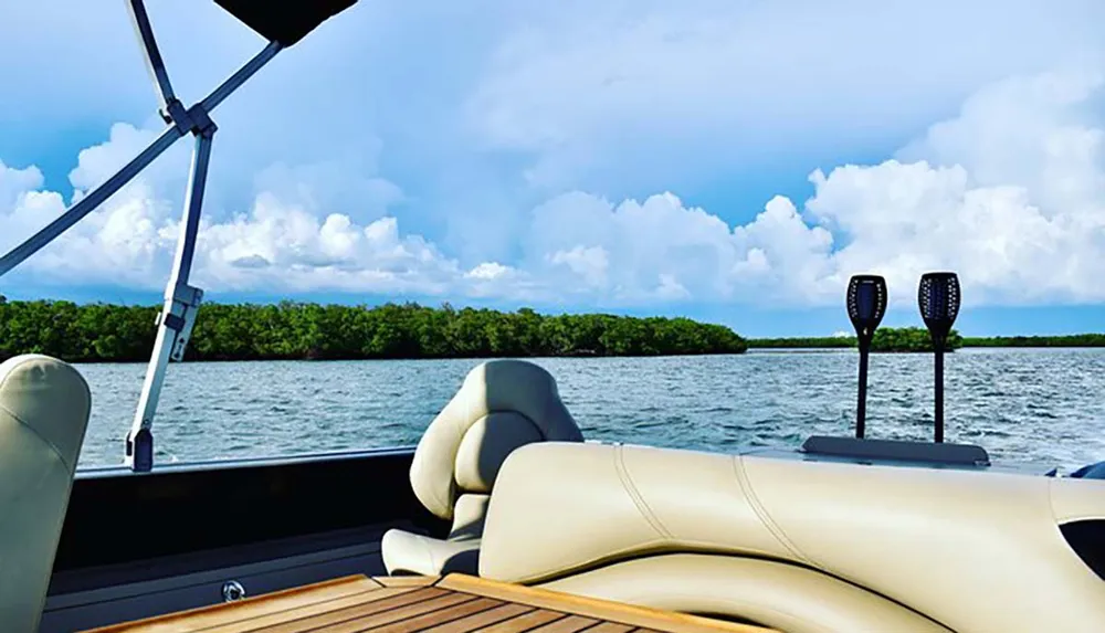 The image shows a view from the deck of a boat featuring comfortable seating and a scenic backdrop of calm waters and a lush green shoreline under a partly cloudy sky