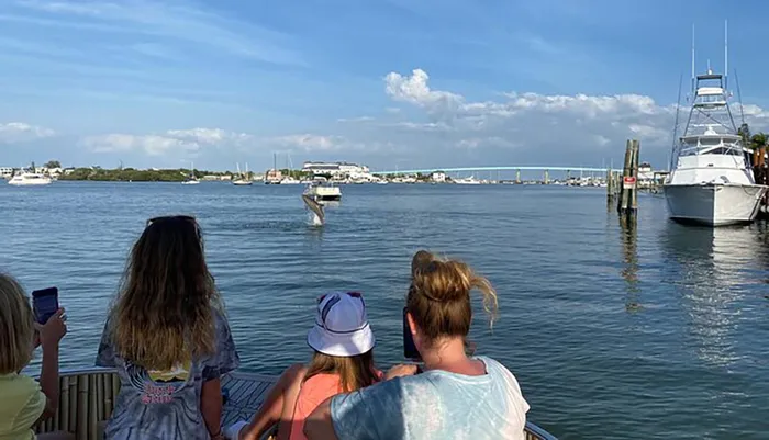 Sunset and Dolphin Cruise Around Fort Myers Beach Photo