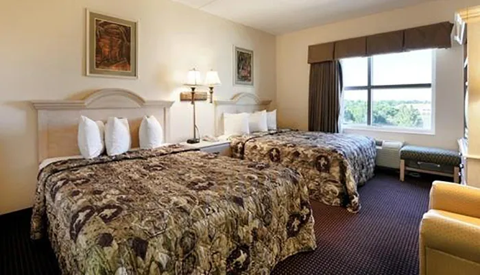 The image shows a well-lit neatly organized hotel room with two beds covered in patterned bedspreads a window allowing natural light and classic furnishings including a table lamp artwork and sitting chairs